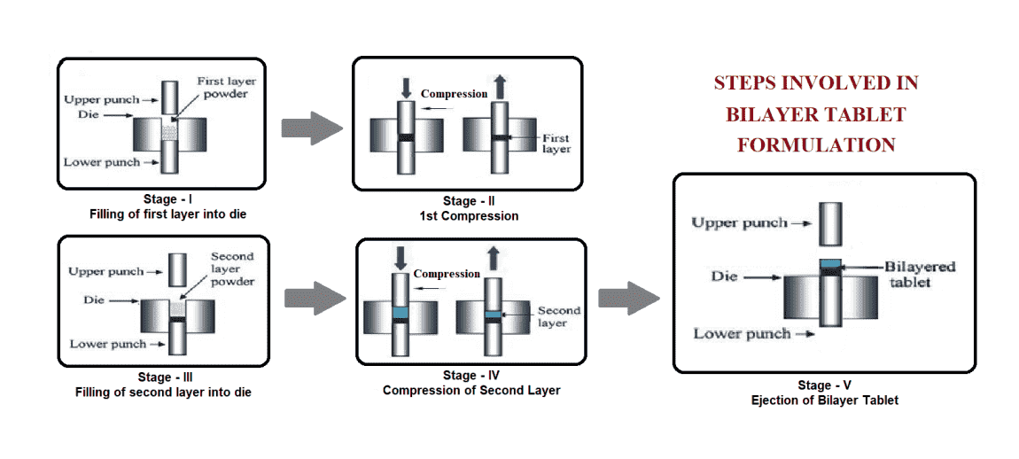 Bi-Layer Rotary Tablet Press